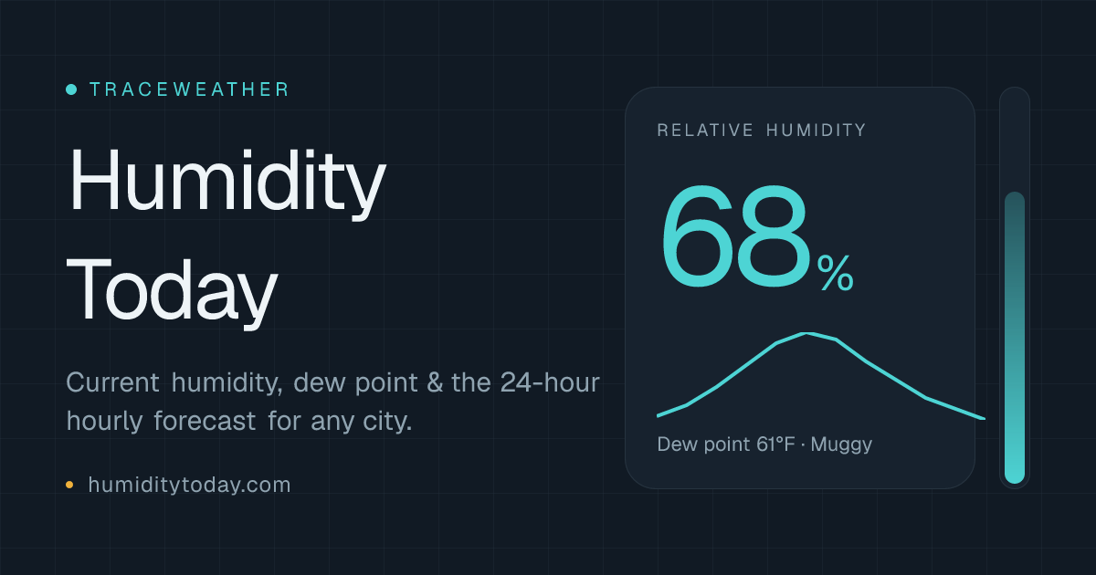 Humidity Today: Current Humidity & Hourly Forecast